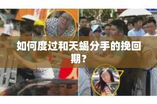 如何度过和天蝎分手的挽回期？