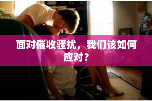 面对催收骚扰，我们该如何应对？
