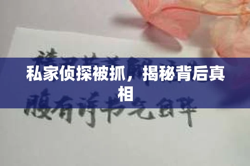 私家侦探被抓，揭秘背后真相