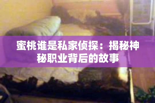 蜜桃谁是私家侦探：揭秘神秘职业背后的故事