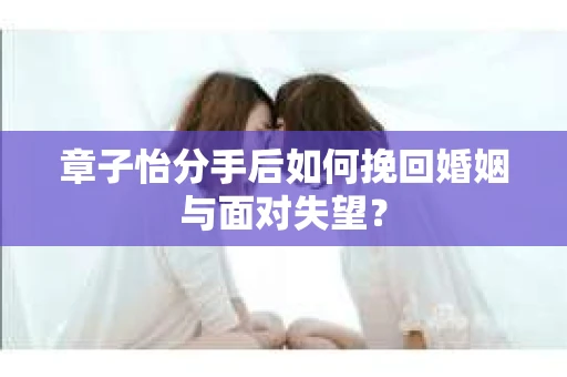 章子怡分手后如何挽回婚姻与面对失望？