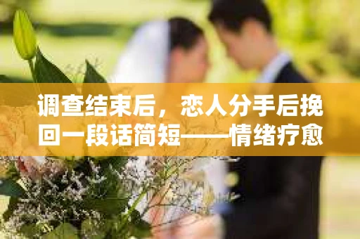 调查结束后，恋人分手后挽回一段话简短——情绪疗愈与人生决策指南